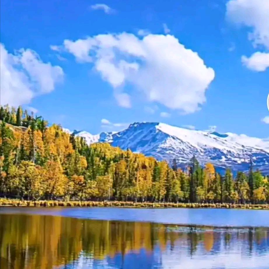 黄骅市嘉兴房产艳姐