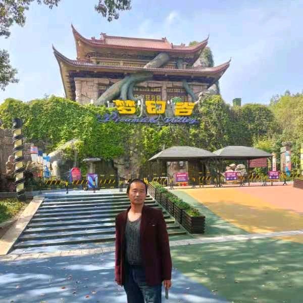 无叶游民