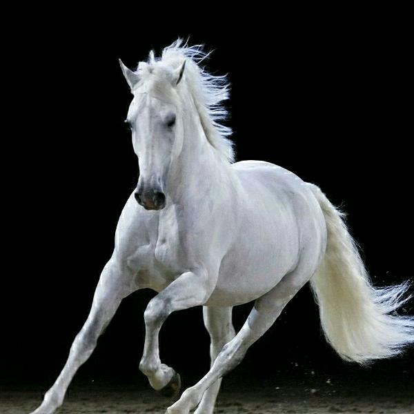 🔥落 地 云🔥🔥