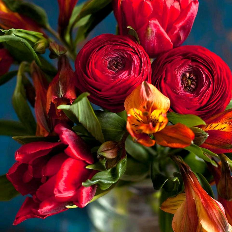 开心每一天-可乐