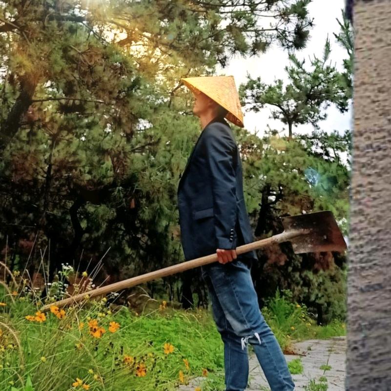 乡村小马驹