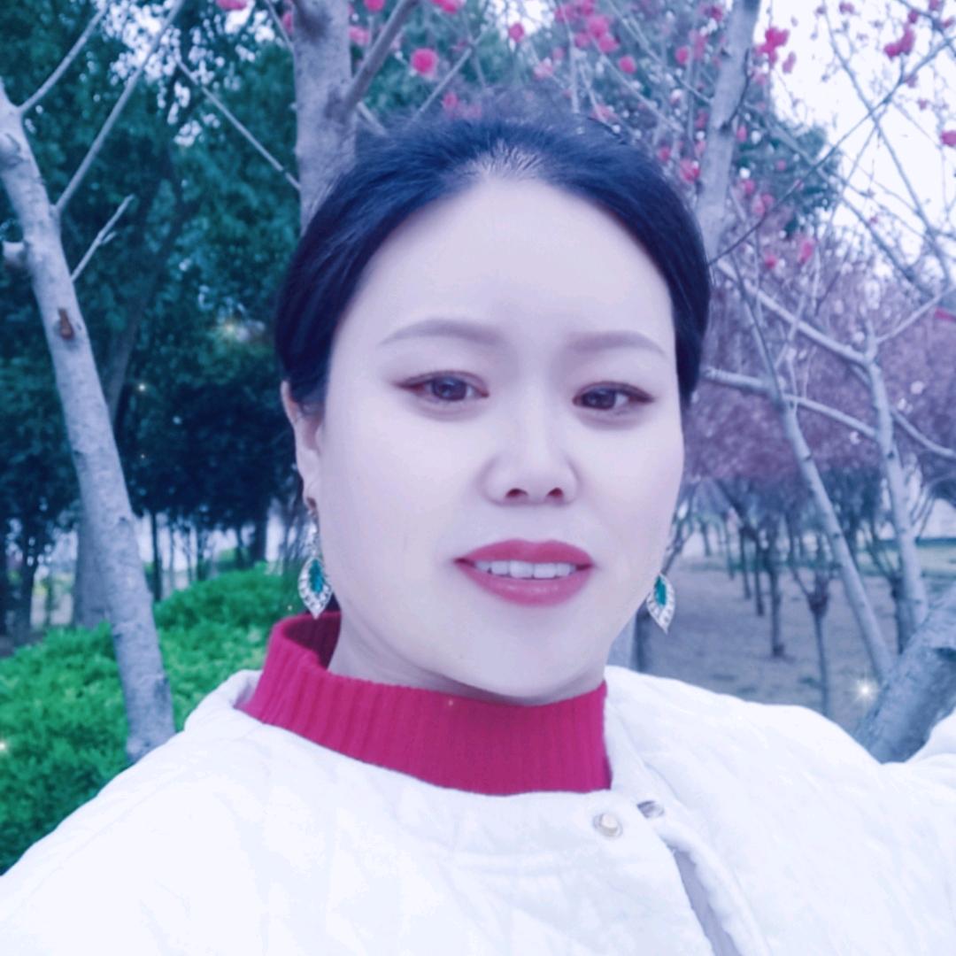 W蕊254……厨窗好物