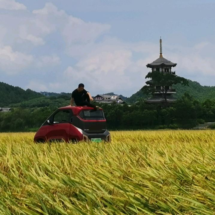 白日梦想家
