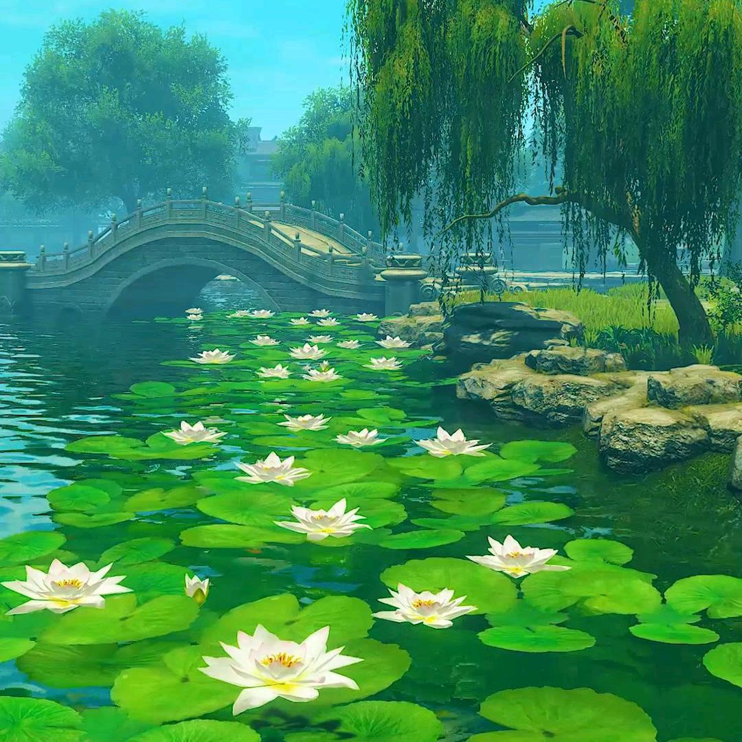 清雅居士