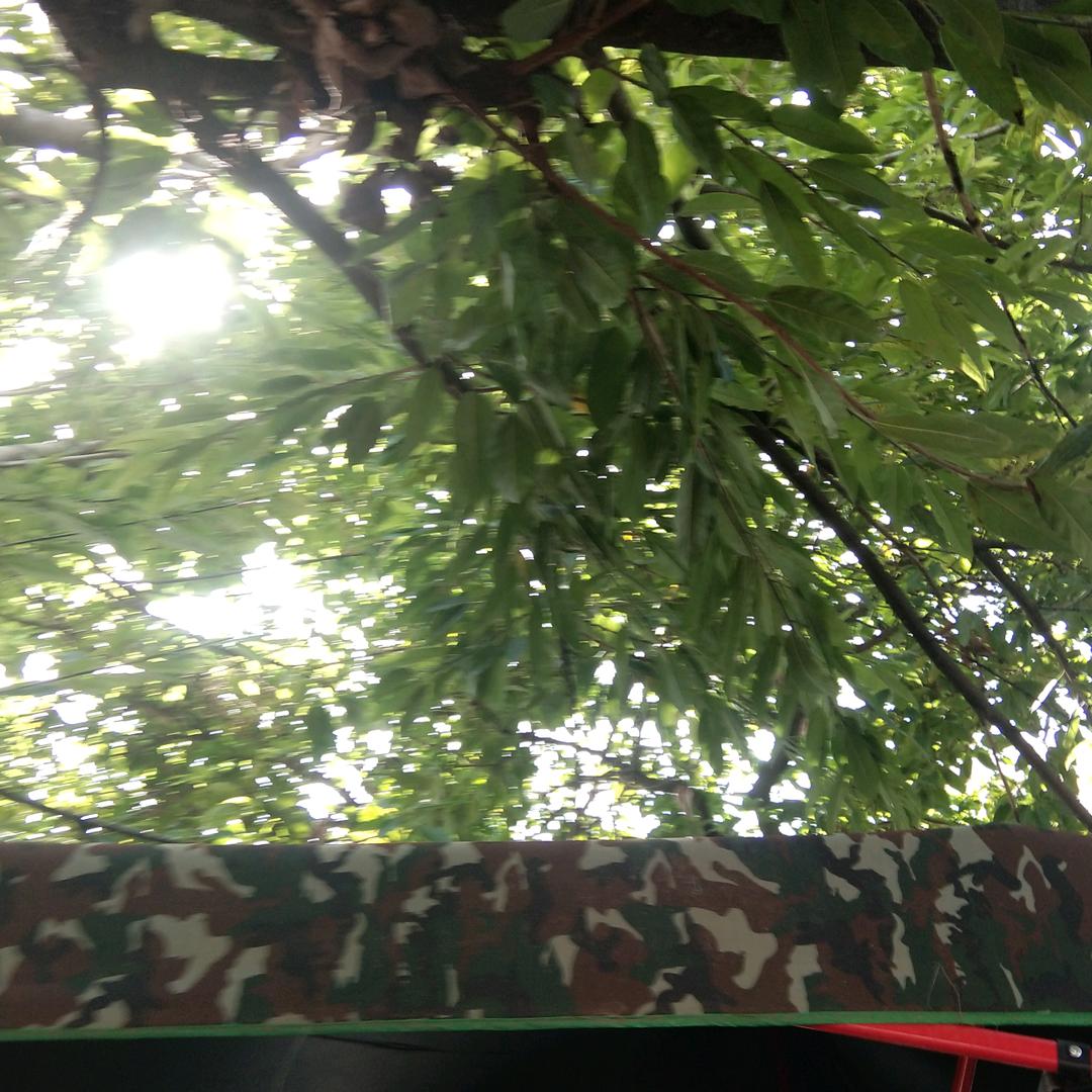 天若有情天亦老