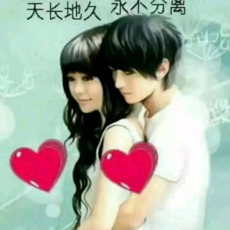 🌹🌹风花雪月🌹🌹