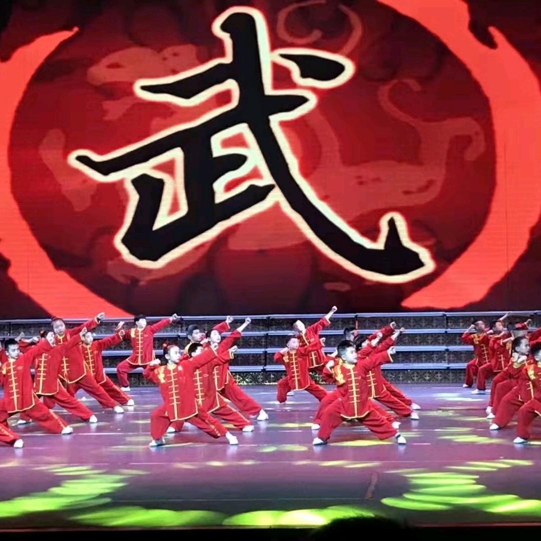 银川少林精忠武术馆 郑士伟🥊