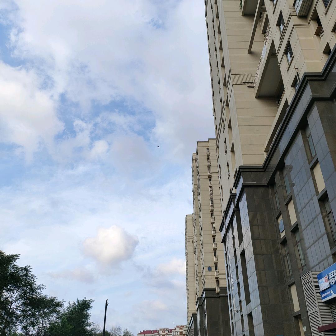 我是红姐