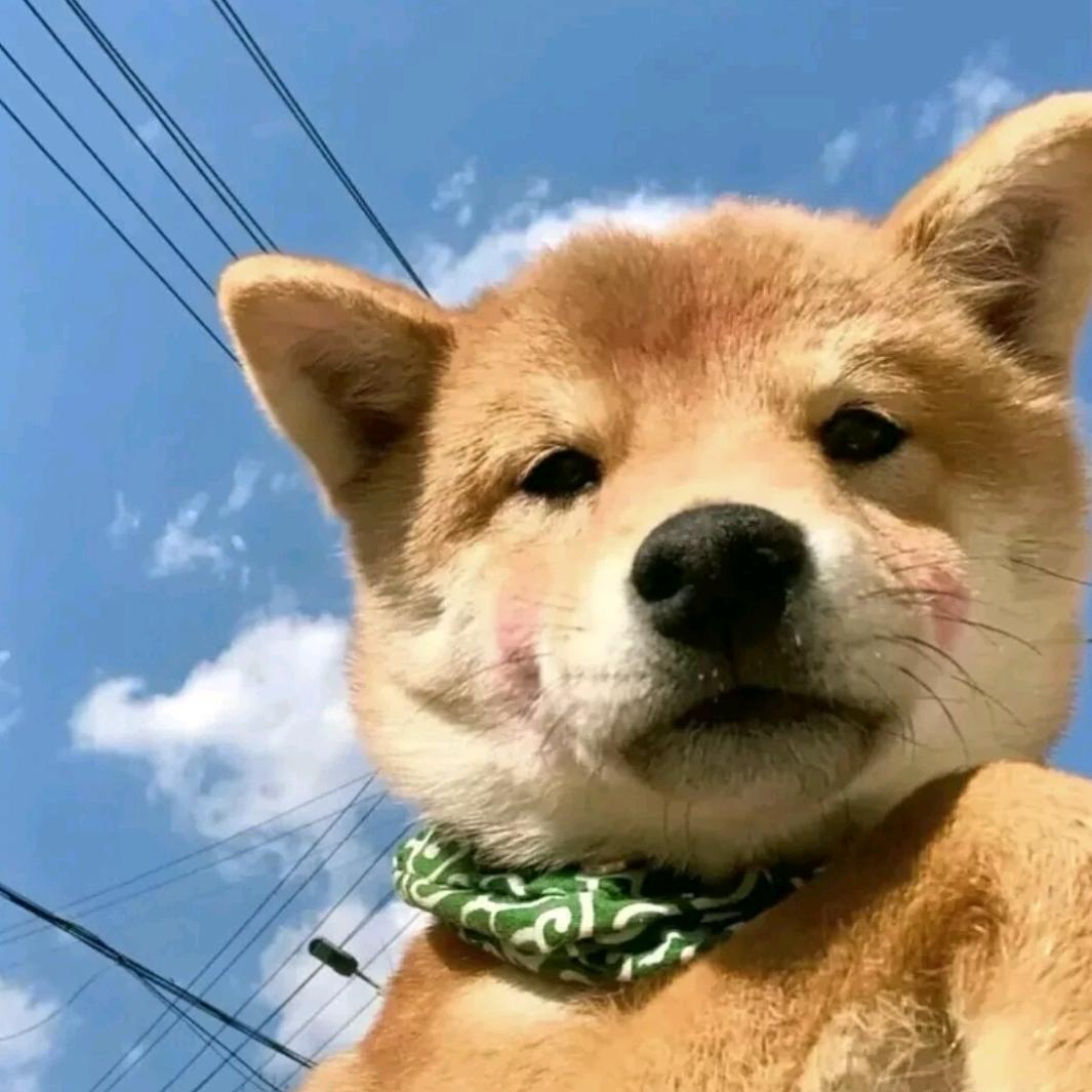 听闻