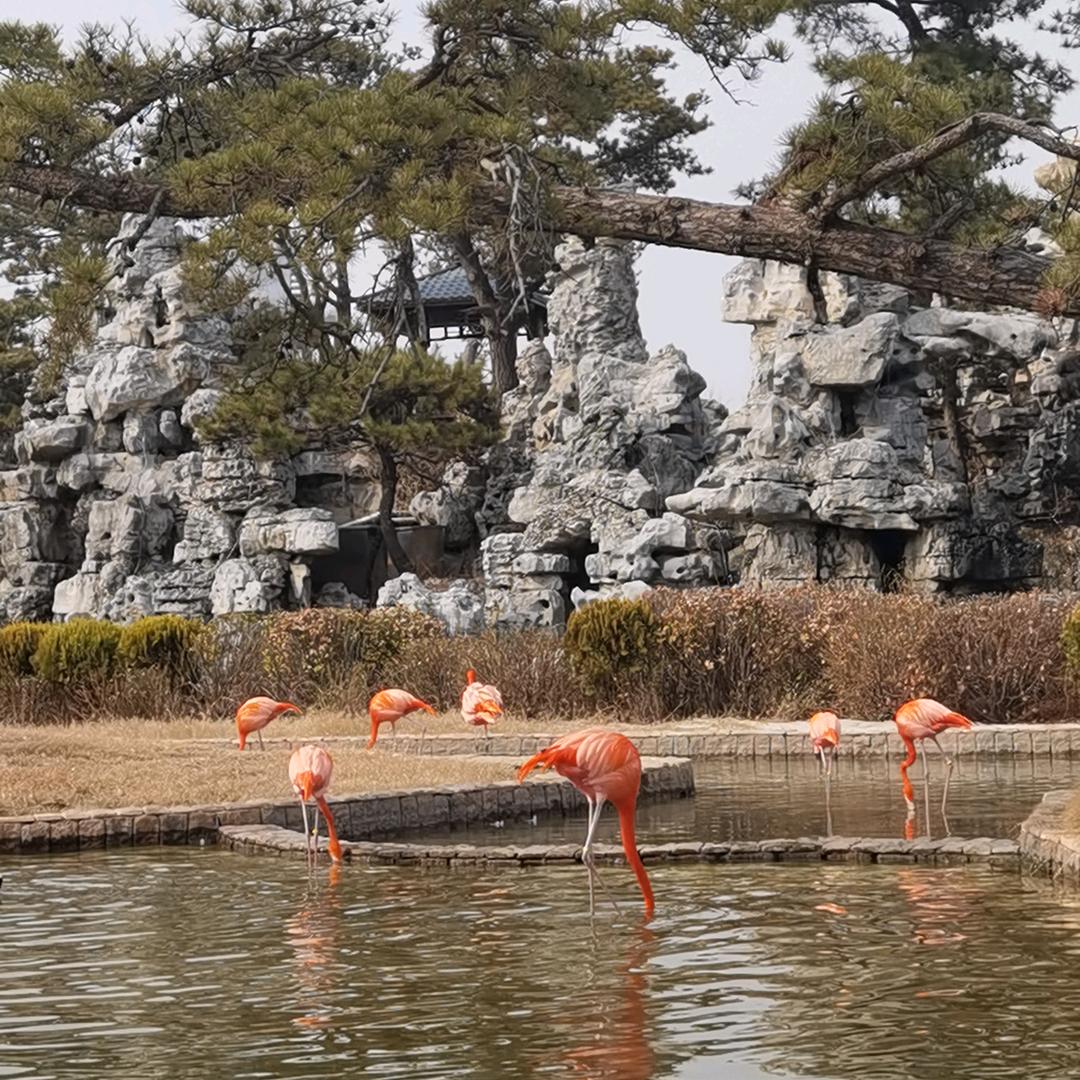 小鱼🐠儿