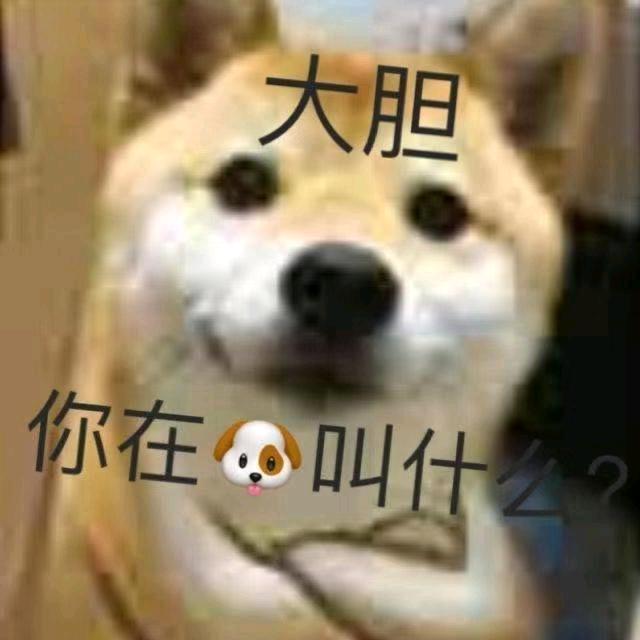 抉