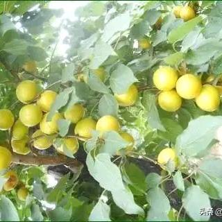 路人乙