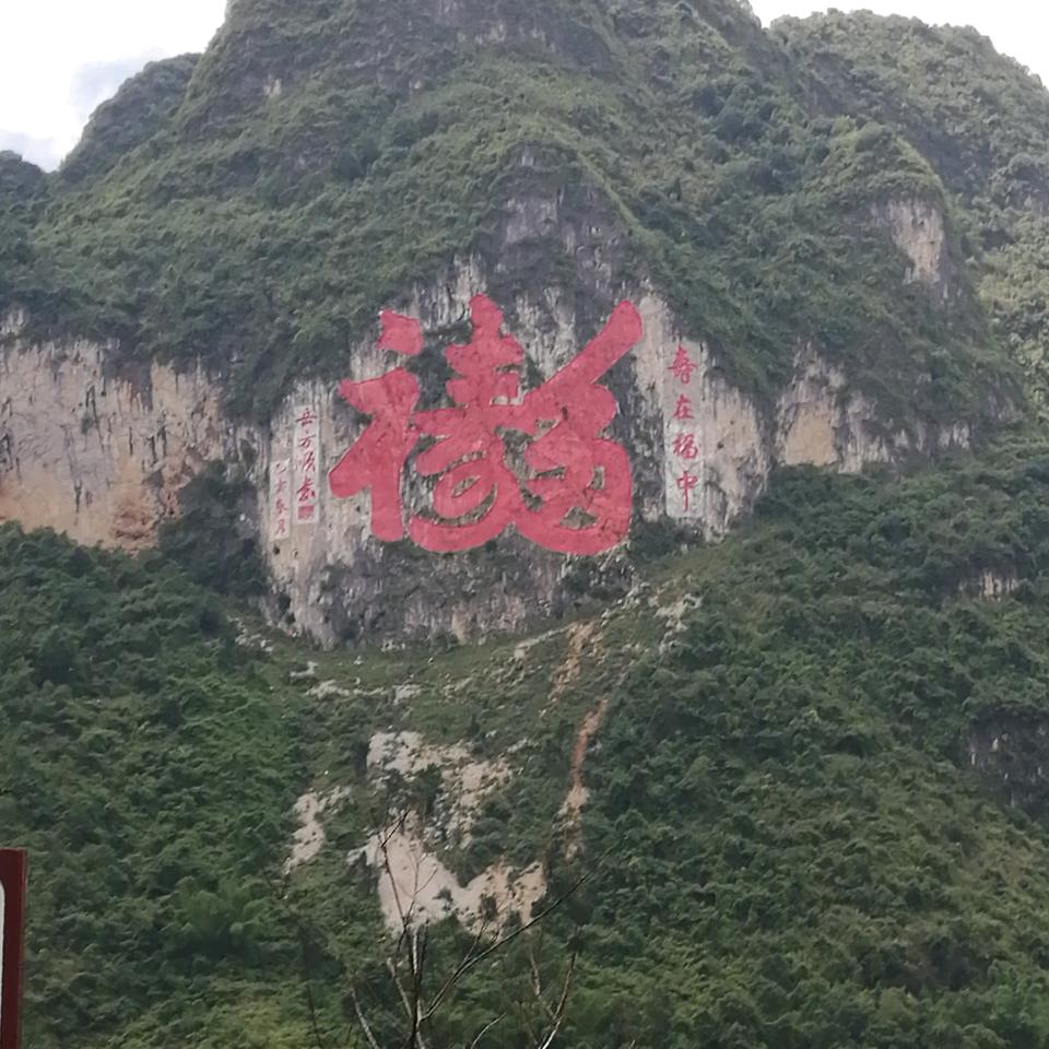 山老虎