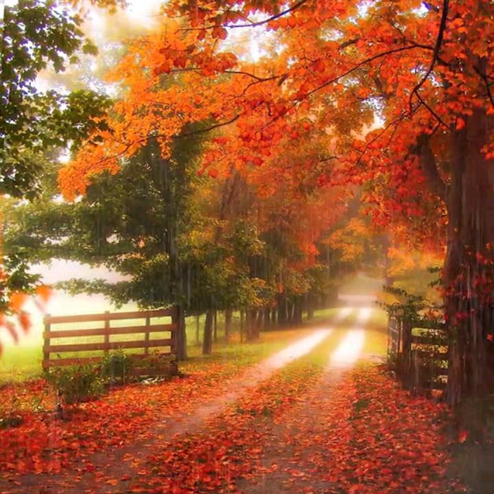 ❤️心有暖阳，何惧沧桑❤️