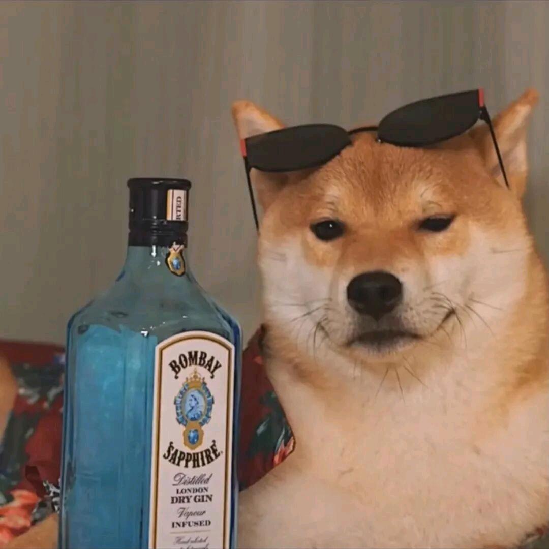 吃货乌拉拉