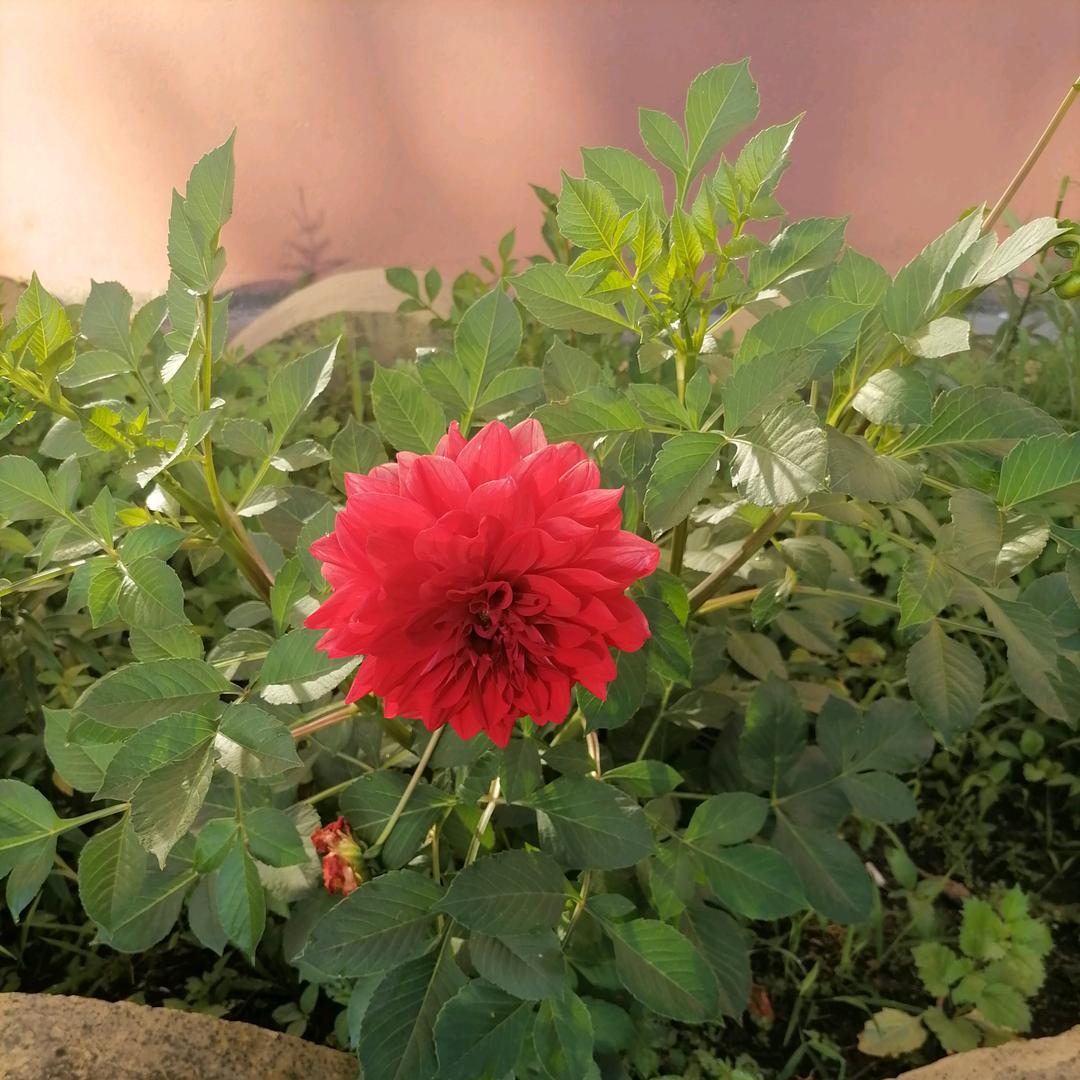 用户9717739795857，嗯，马哥