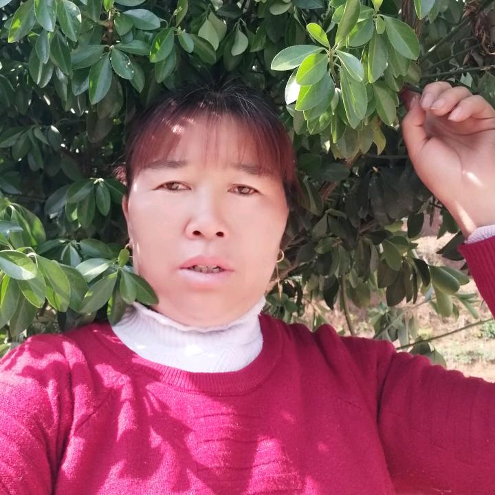 手机用户69084245363