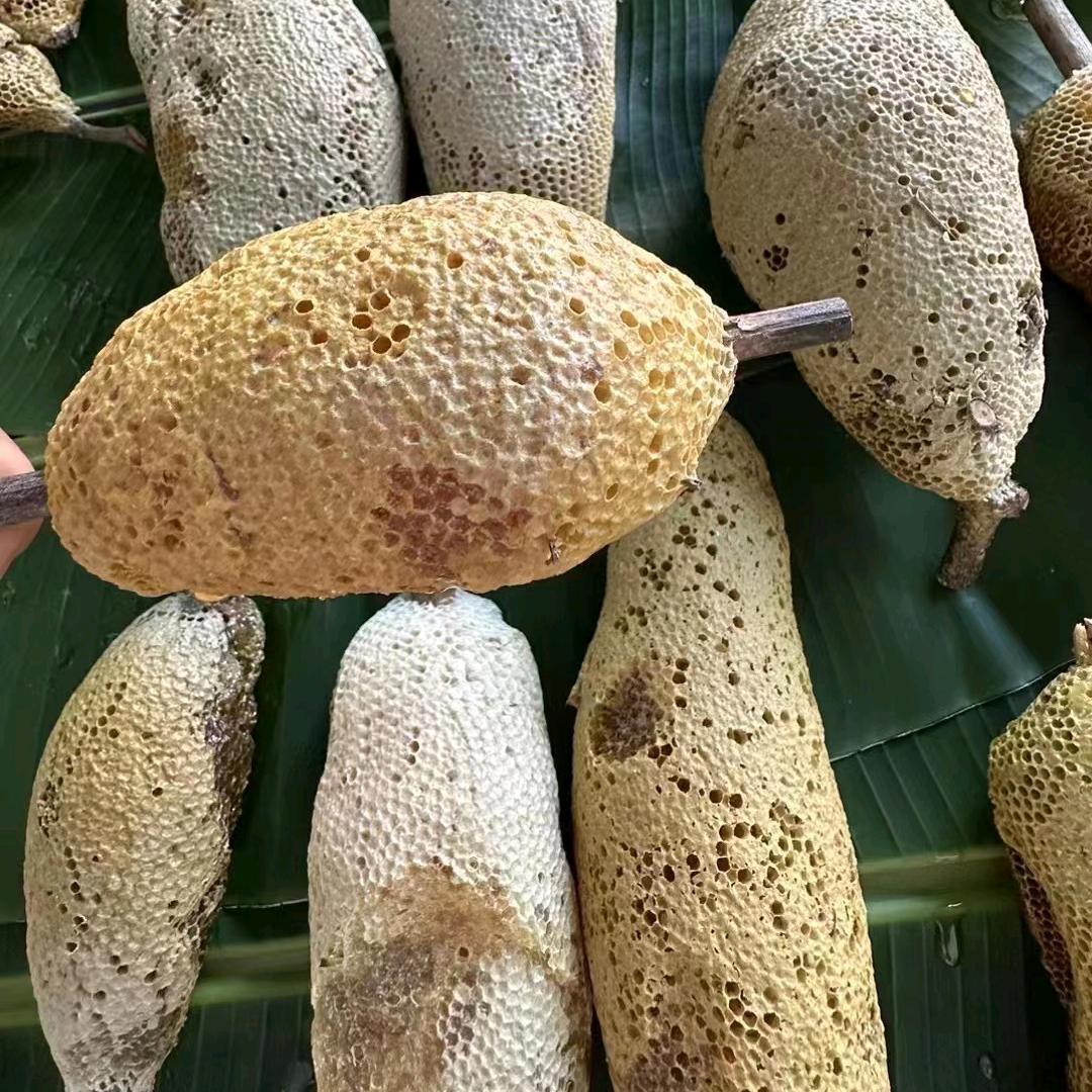 个旧市引道农业中蜂研究