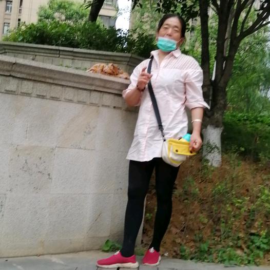 李家二小姐
