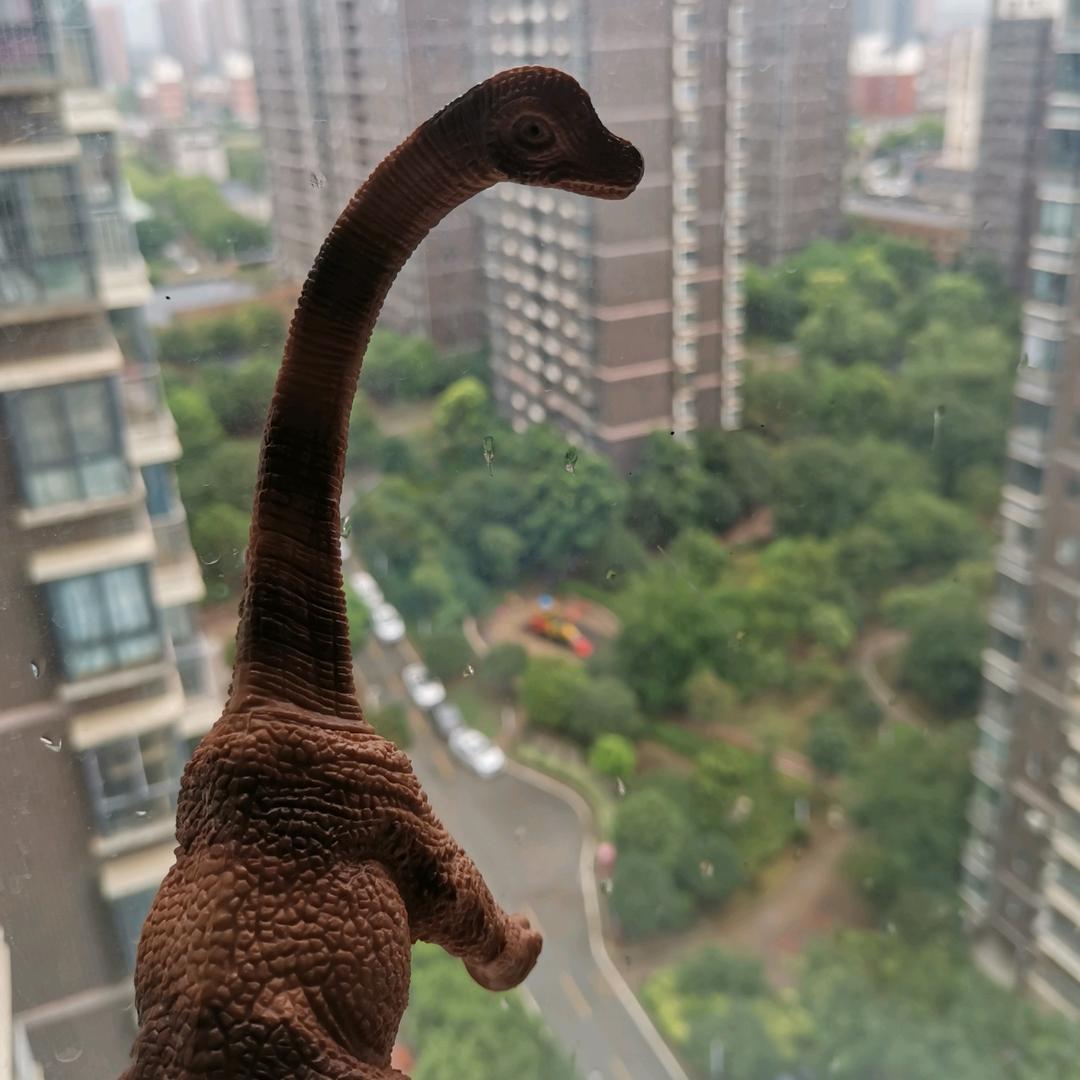 星子在无意中闪