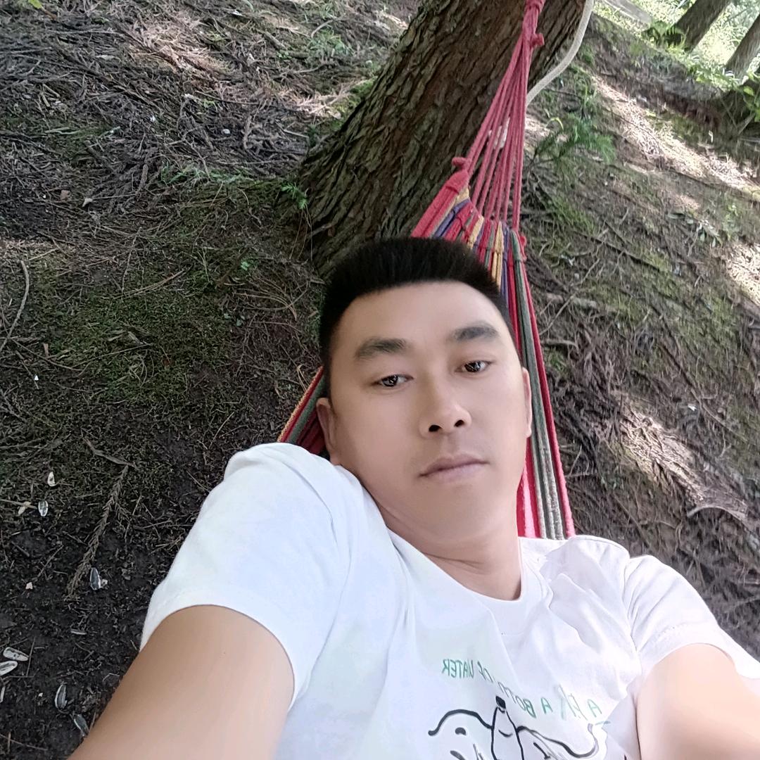 王者风范《龙》