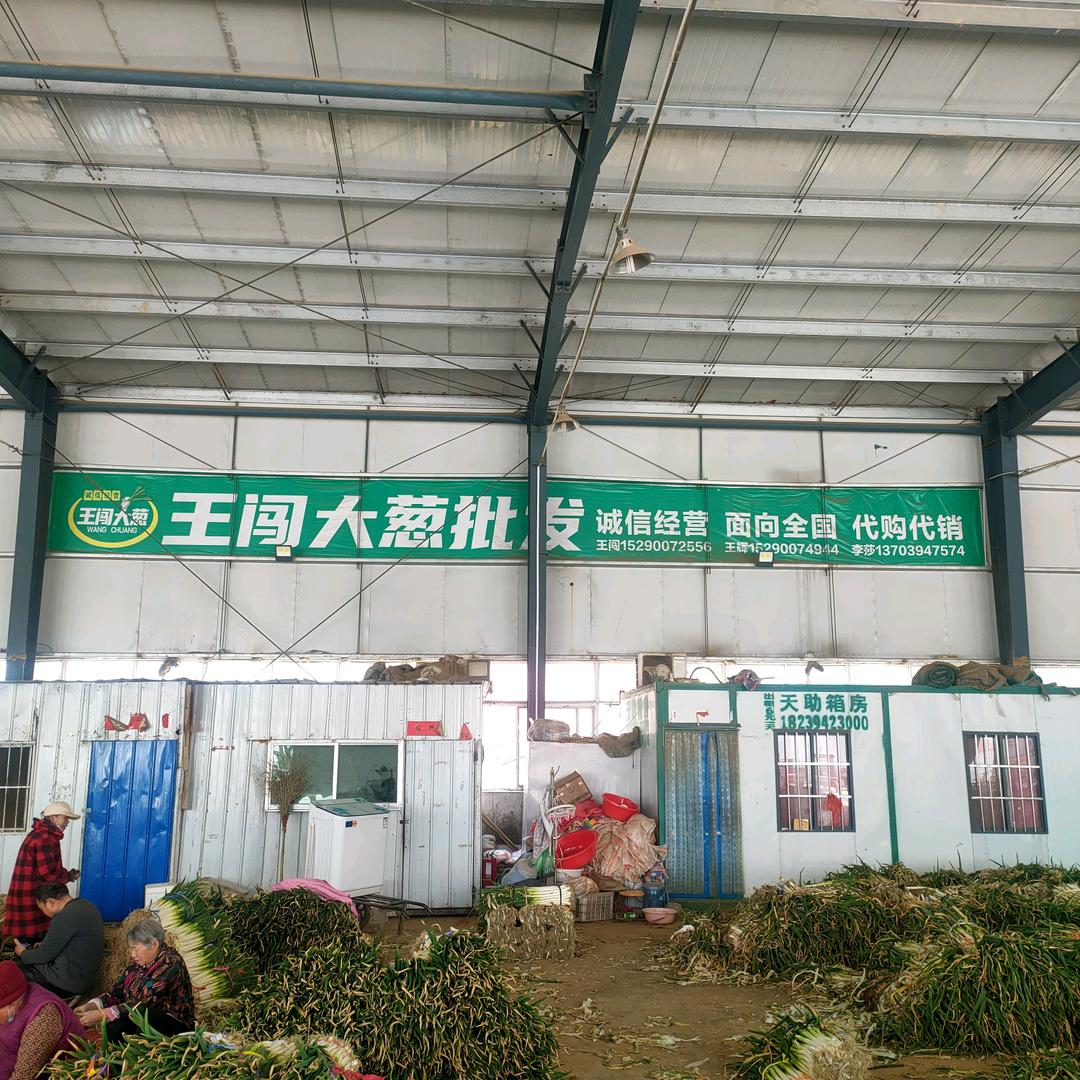 @黄淮@王闯大葱