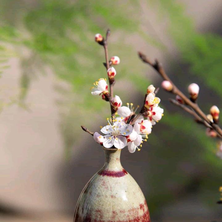 随心小语（拒绝连赞谢谢）