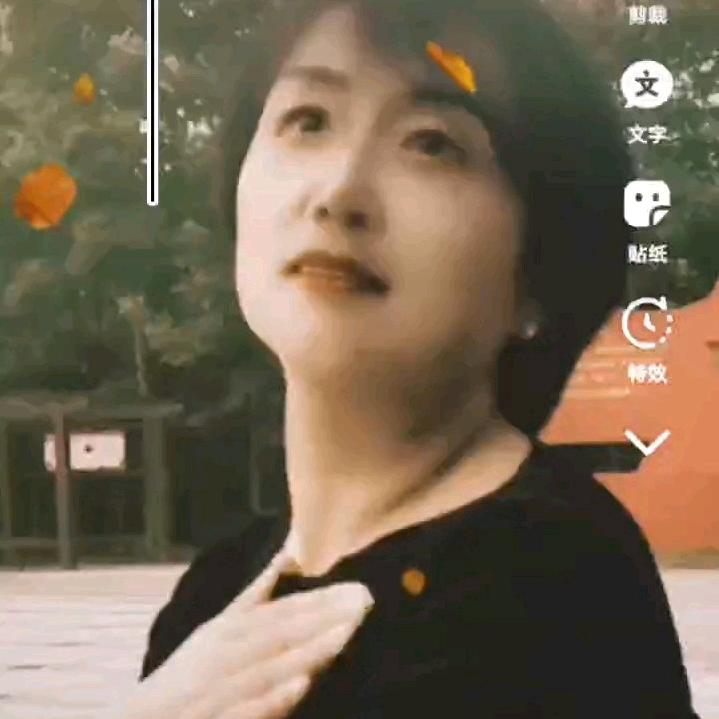 会侠