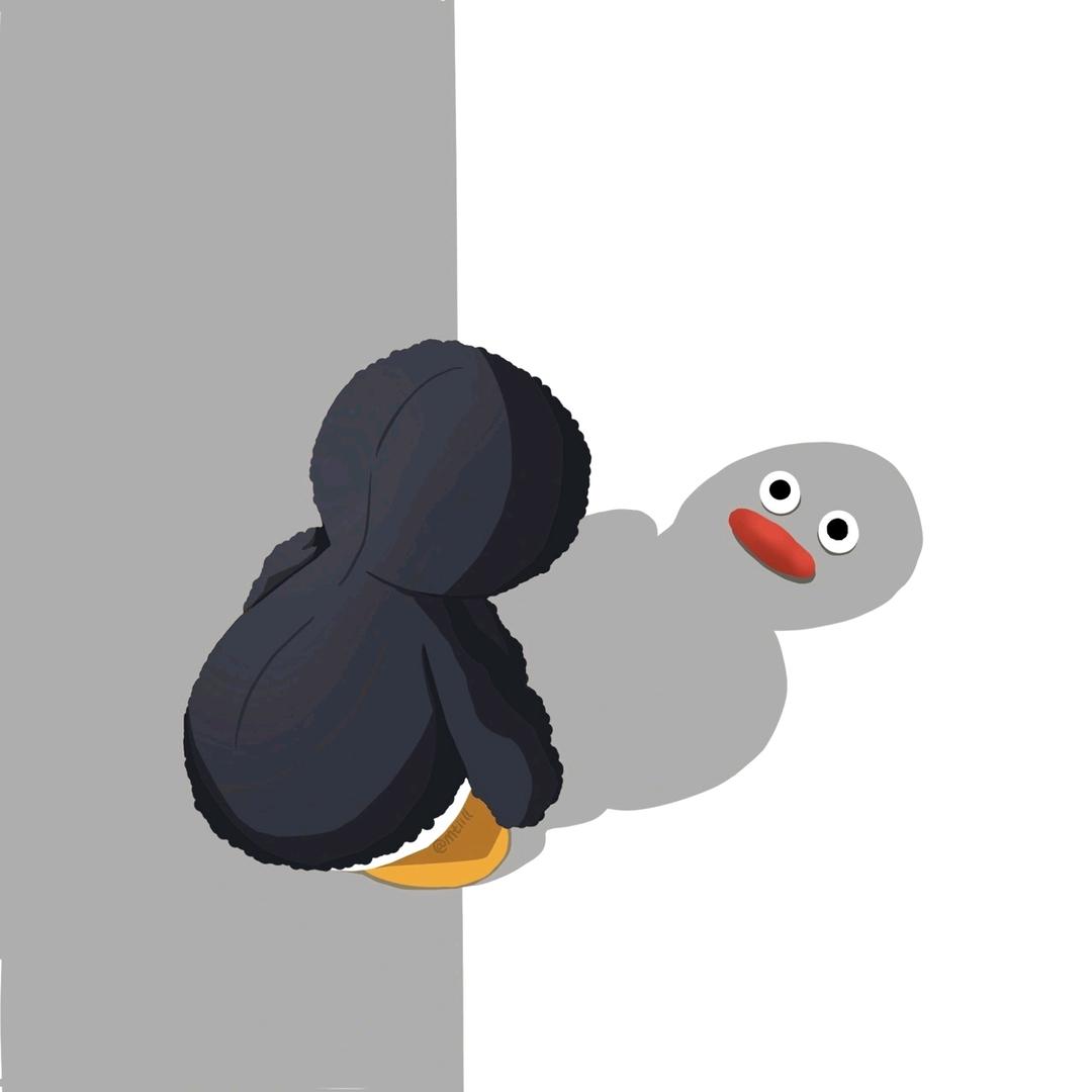☞黑鸭