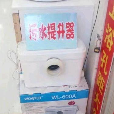 孟丹