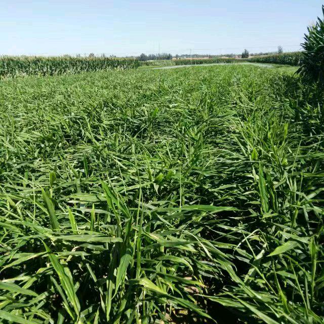 民信果蔬，便利店