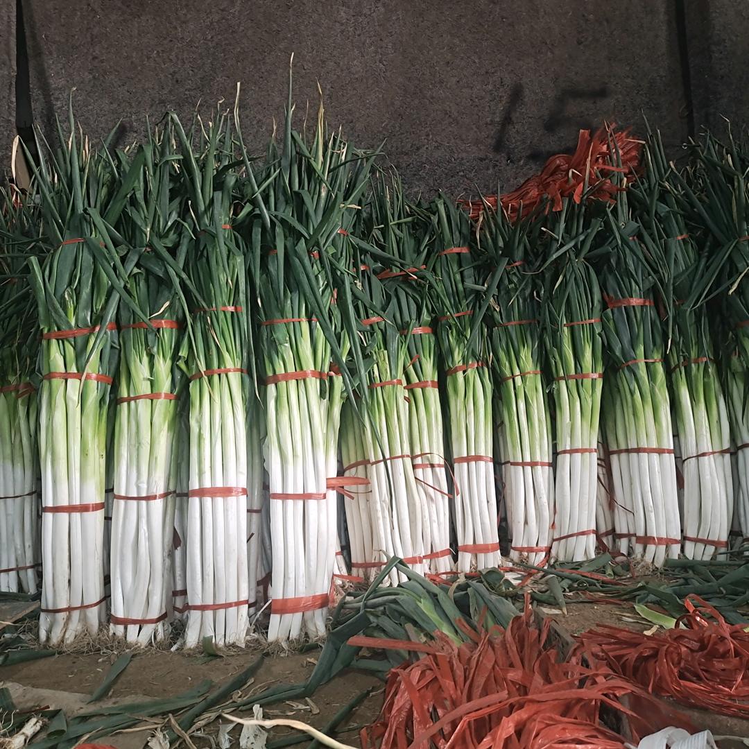 小芳特产店（章丘大葱）