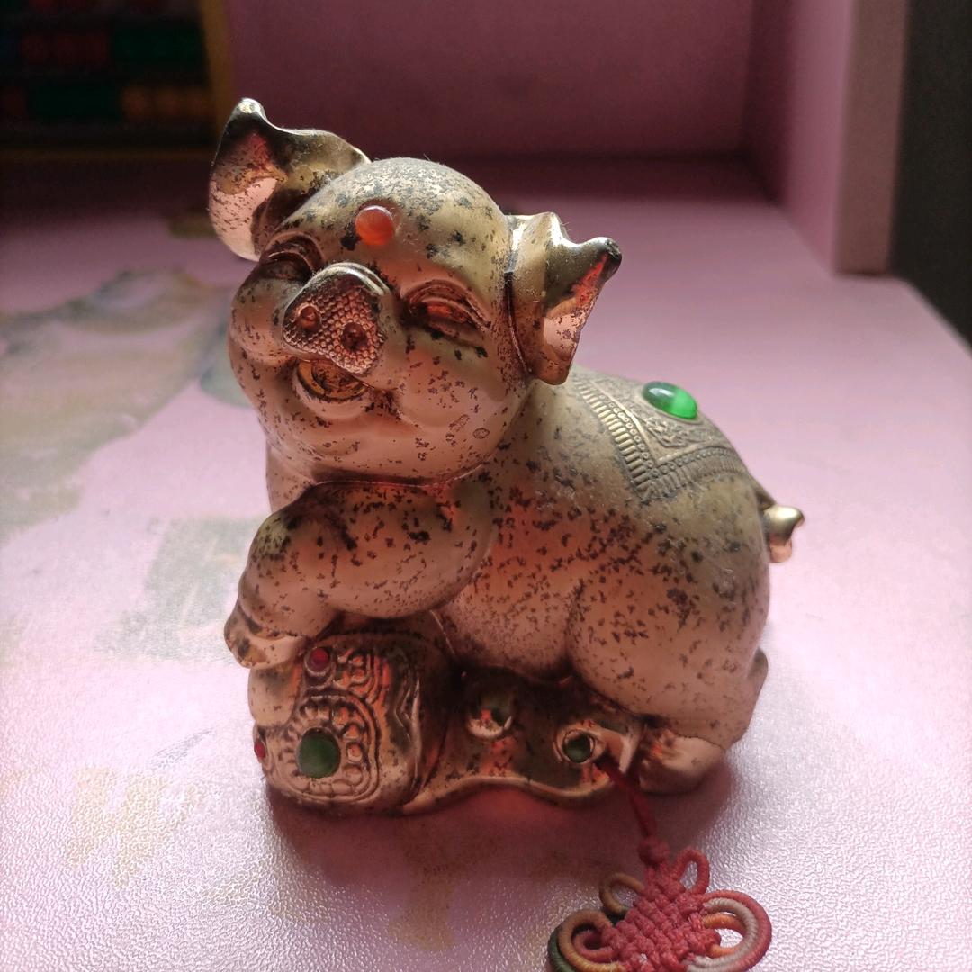杨雄