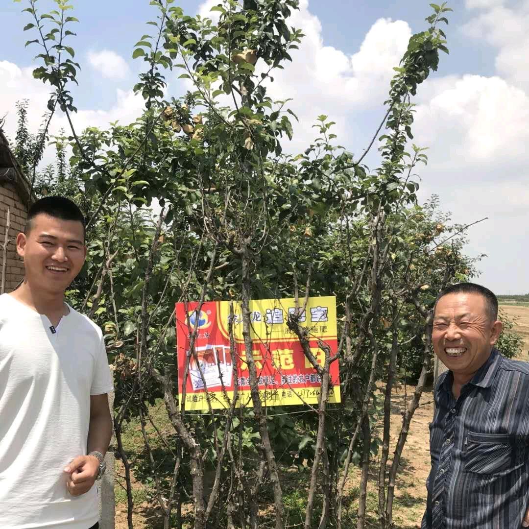 北京金太龙喷施肥连亚彬