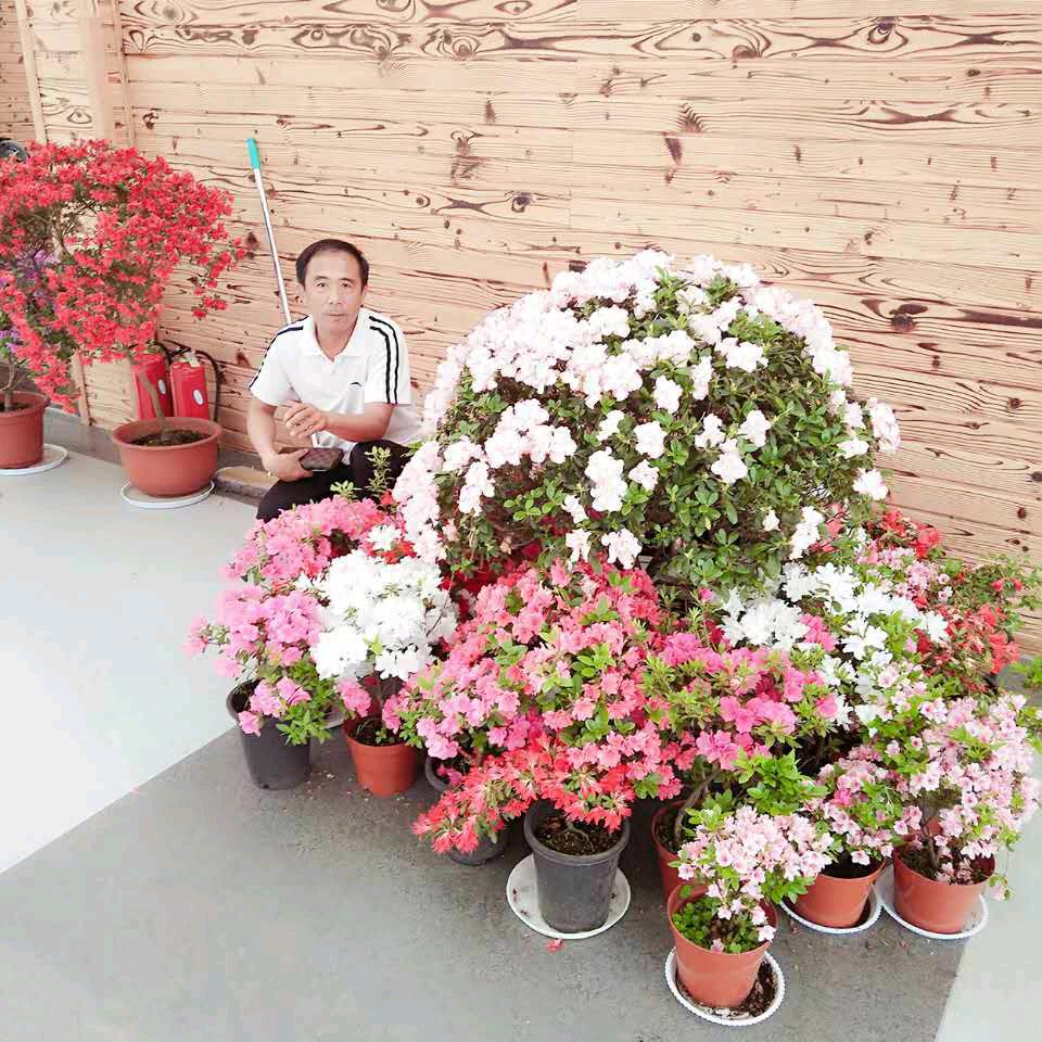 中医理疗师(华哥)