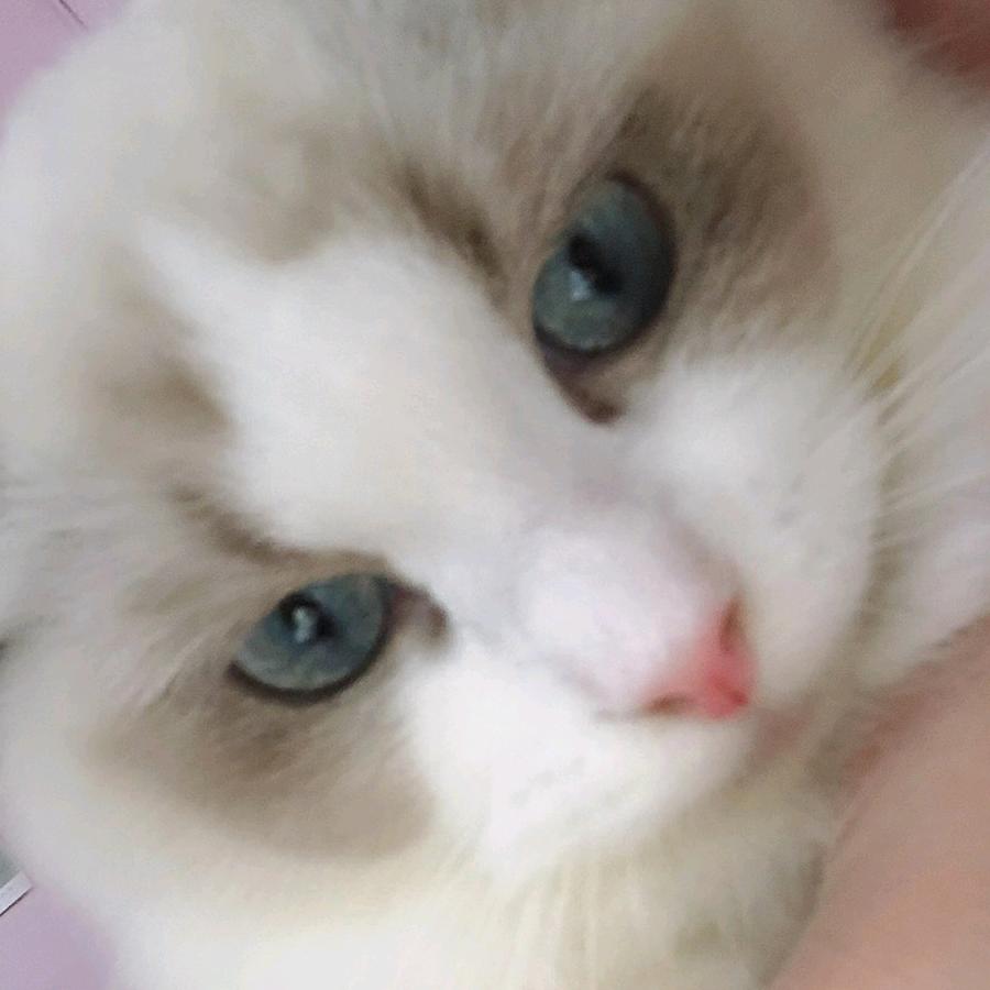 承诺再美终究是殇