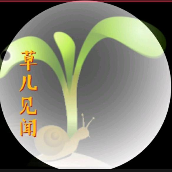 草儿见闻