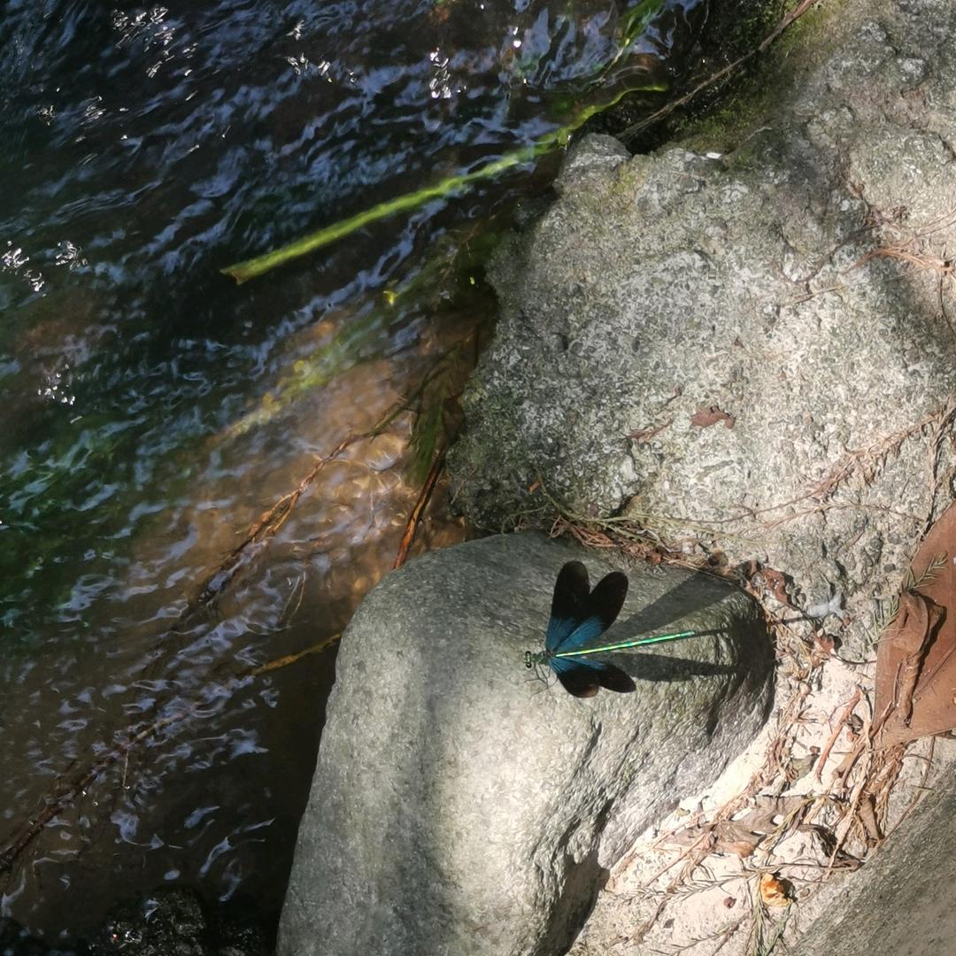 山有月光