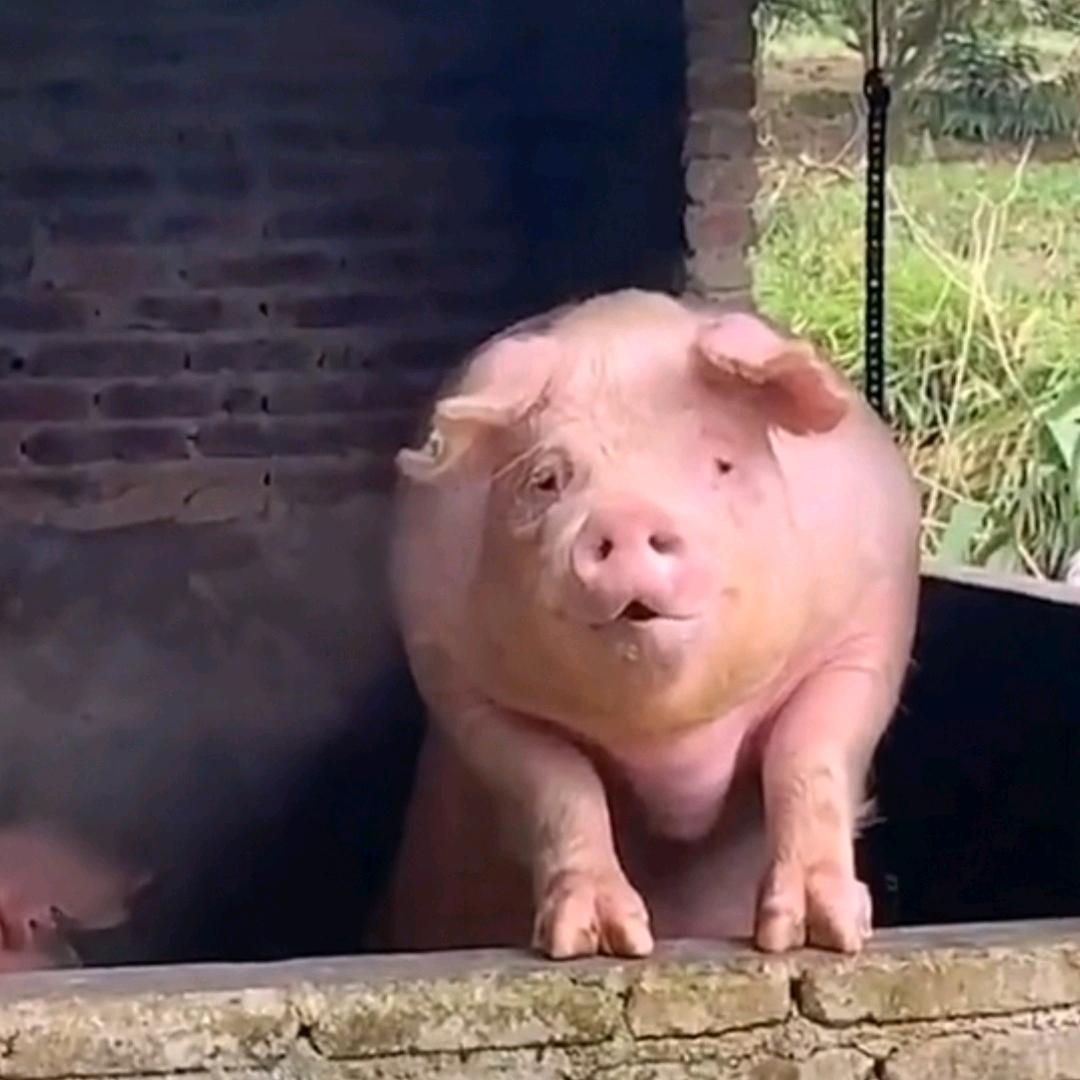 孩砸你太嫩啦🇨🇳