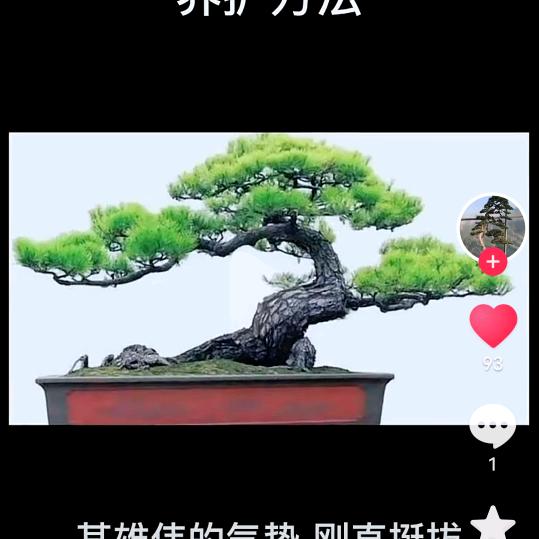 ～云卷云舒～