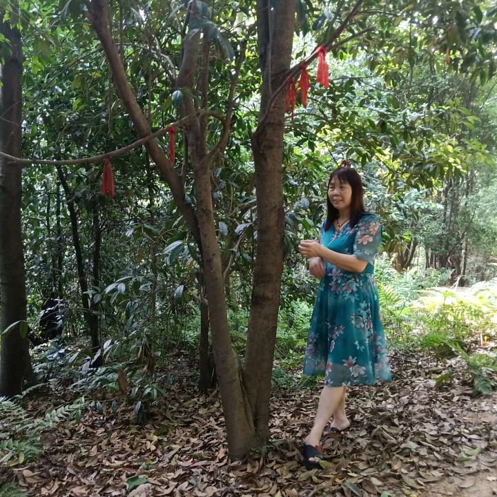 明珠。