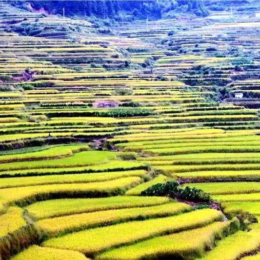 飞达涞宝💰💰🍎🍎