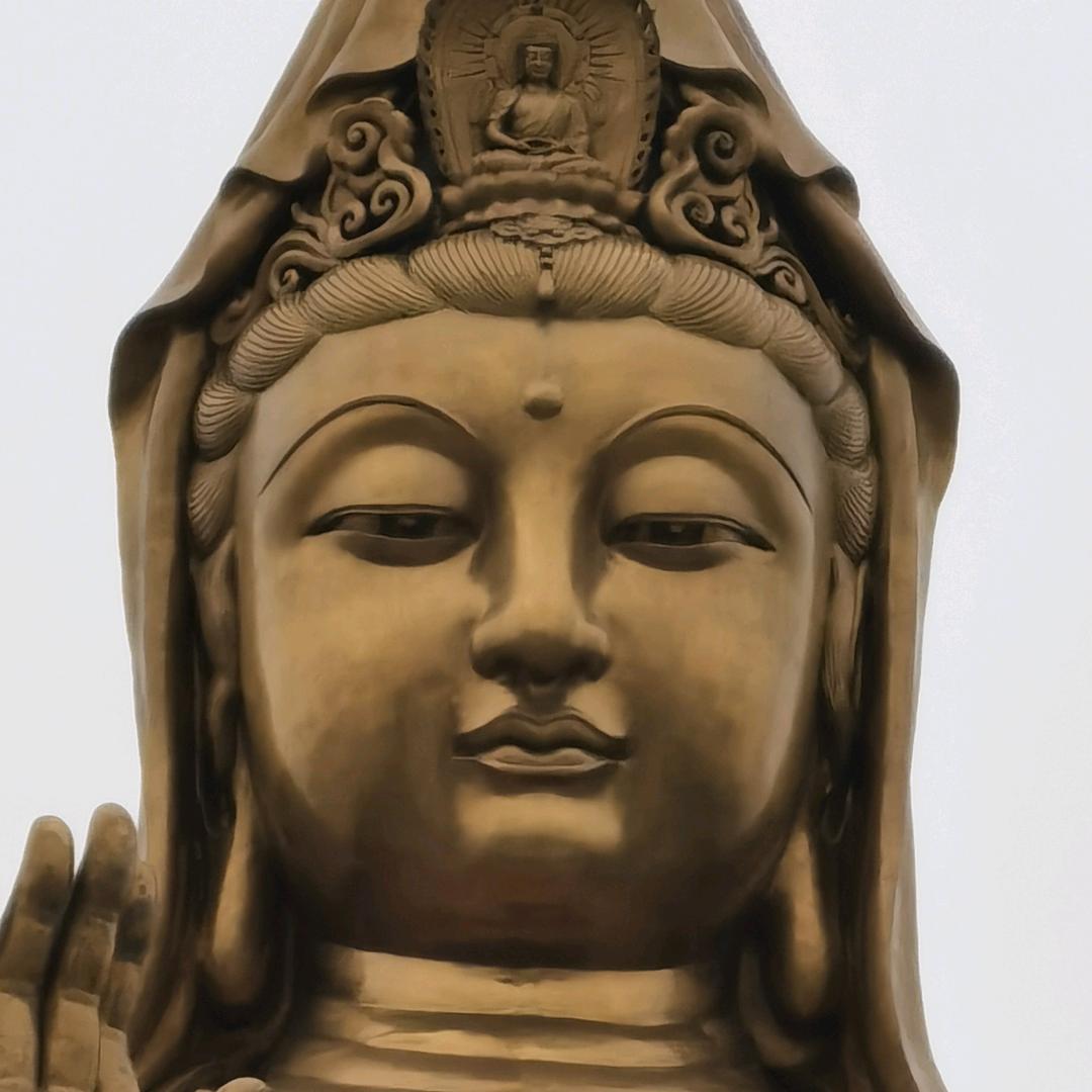 252624125（请勿连赞）