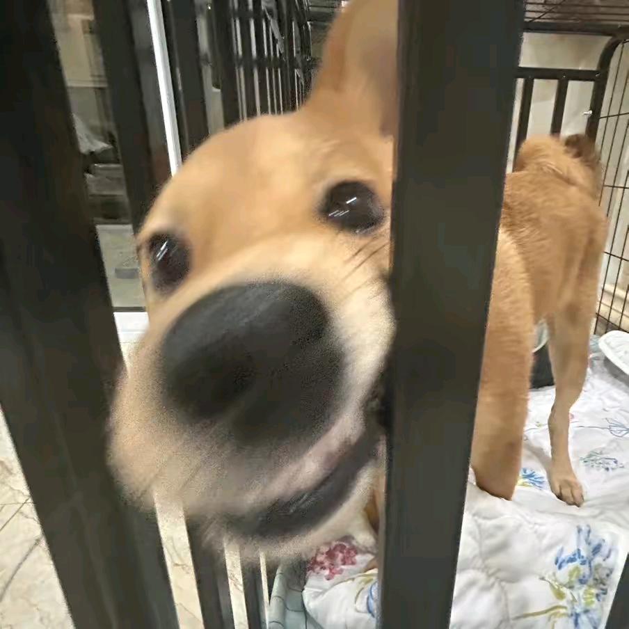可爱又迷人的反派角色