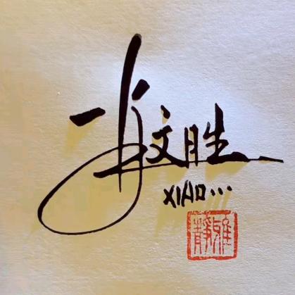 天坪村肖支书
