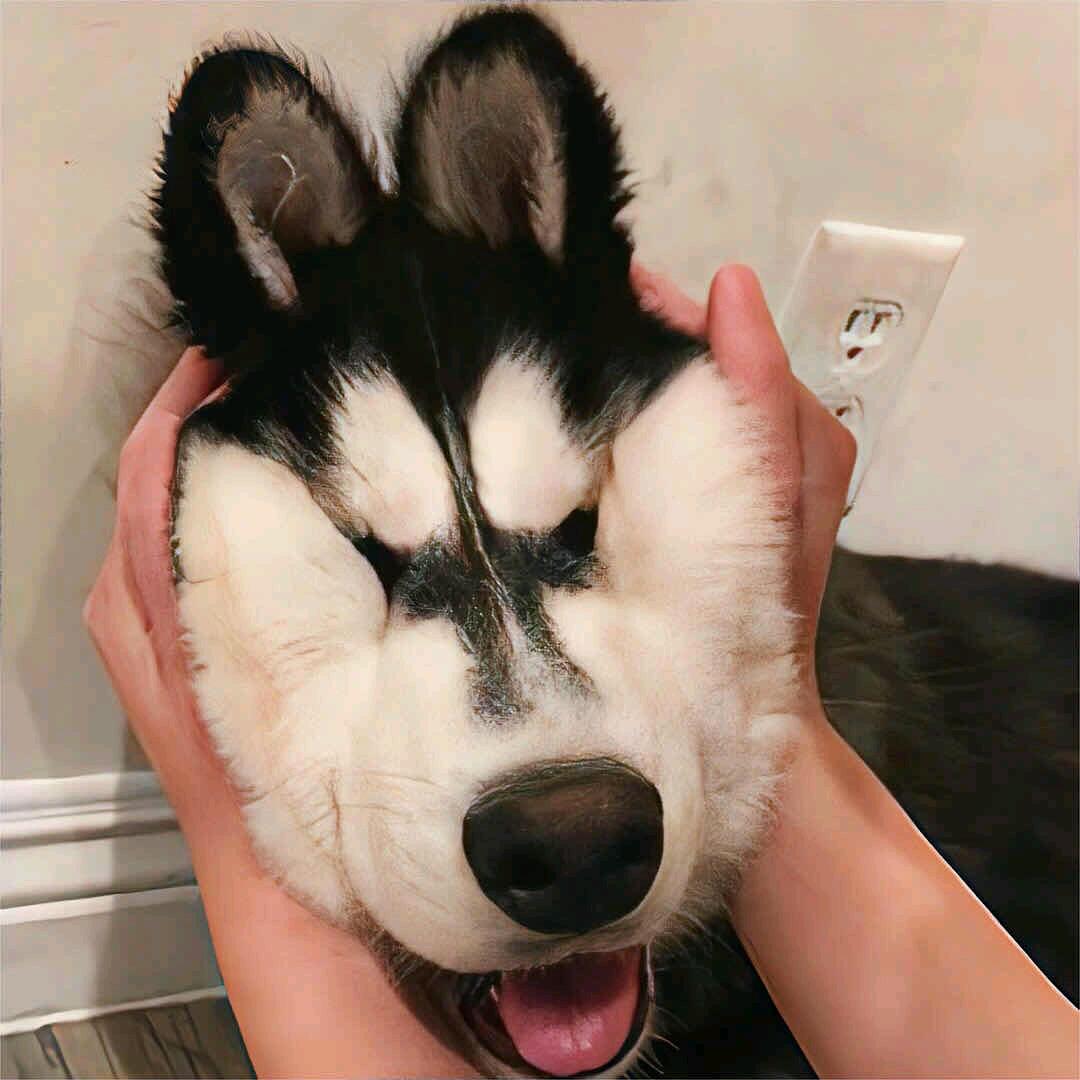 -R.