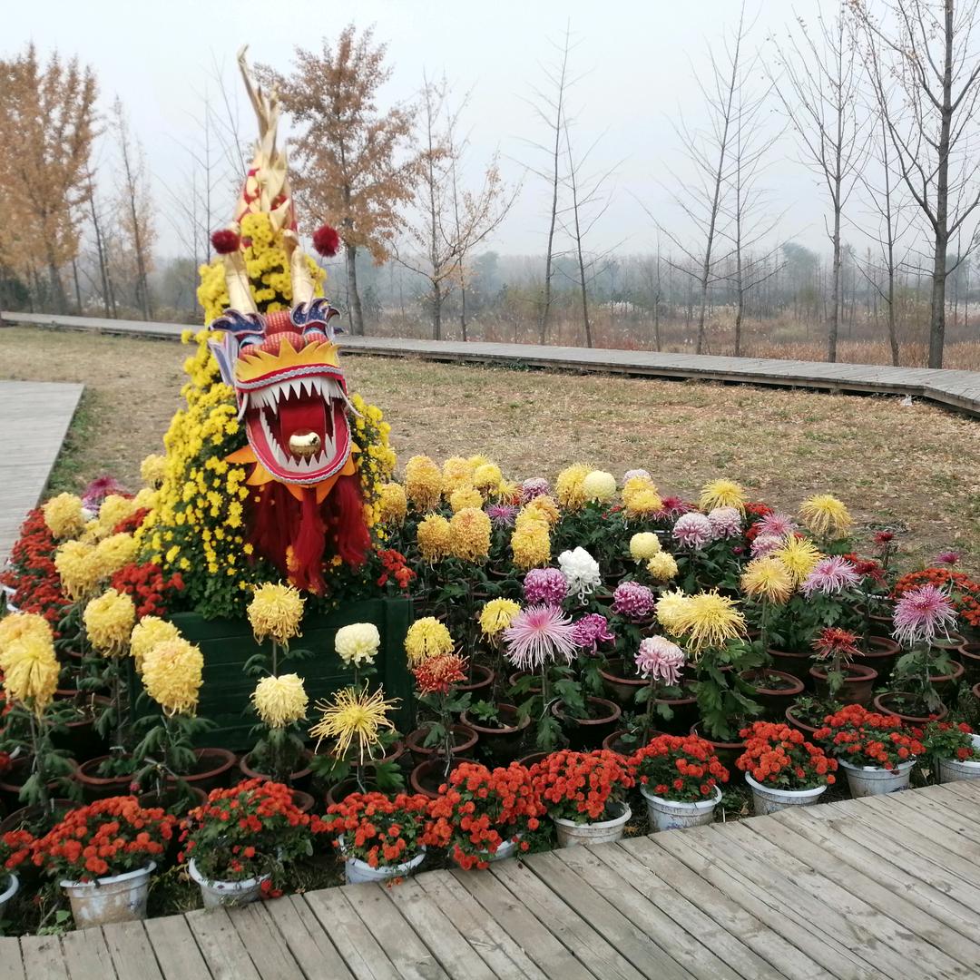 不离不弃（拒合拍）