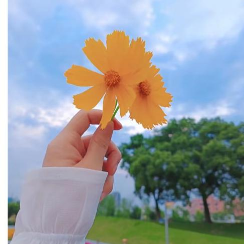 ও🕊ꦿꦼ一生᭄有李꧔ꦿ࿐้