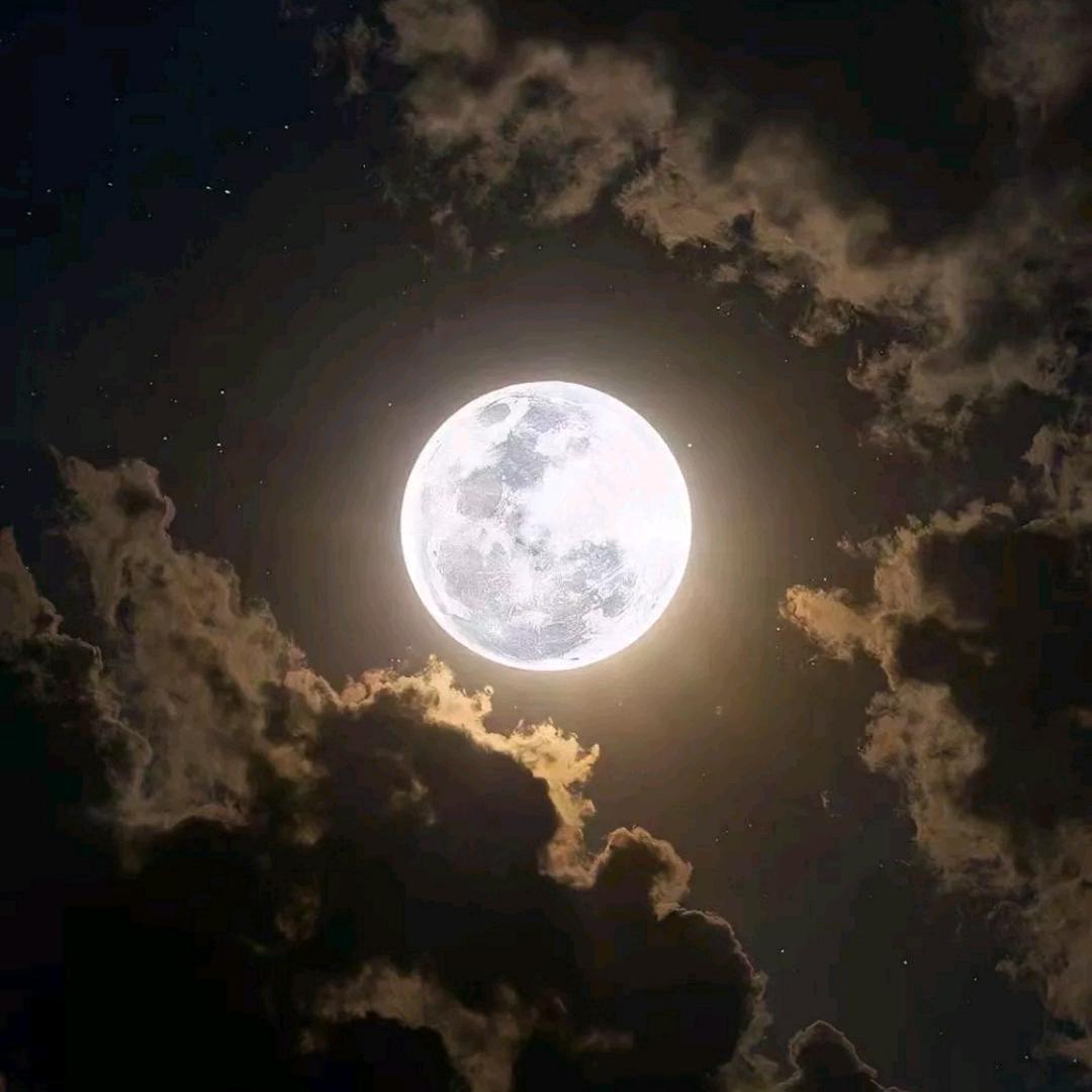 巴邑万源垂钓园