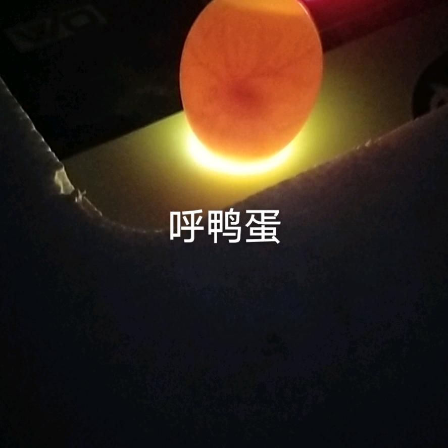 下一ʕ•̫͡•ʔ❤ʕ•̫͡ 站